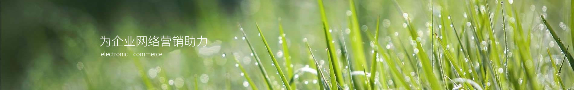 ֣ƽ޹˾